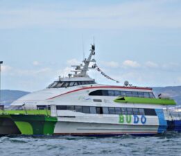 BUDO’nun bazı seferleri iptal edildi