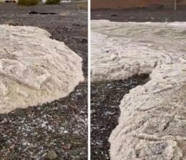 Görenler “Kıyamet alameti” yorumu yapıyor!