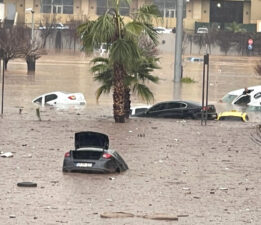 Şanlıurfa’da can pazarı !