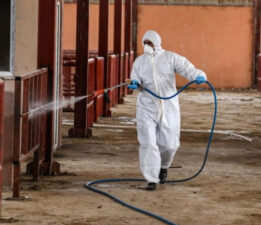 Şap hastalığı hızla yayılıyor!