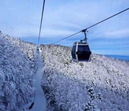 Teleferiğe 3 haftalık bakım molası