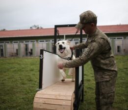Depremin kahramanları…Böyle yetiştiriliyorlar
