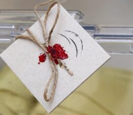 Nerede ve nasıl oy kullanacağım?