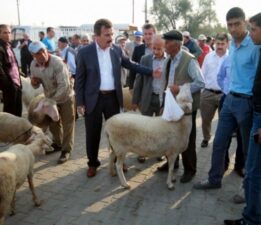 Hayvan hareketleri kısıtlaması 28 Nisan’da kaldırılacak