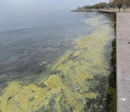 Marmara Denizi’nde endişelendiren görüntü