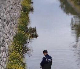 Dereye düşen köpeğin imdadına itfaiye yetişti