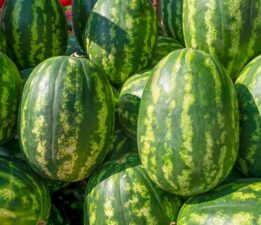 Nisan ayında tezgahlar karpuzla doldu