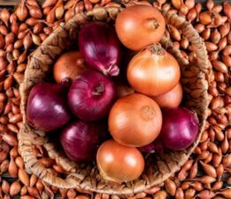 Soğan fiyatlarında düşüş için tarih verildi!
