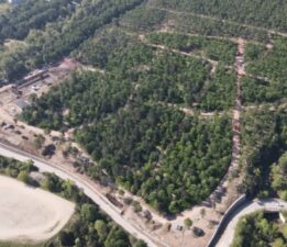 Bursa’da 700 yıllık Osmanlı köyü’ne Orman parkı