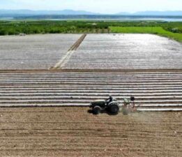 Deprem tarımı da vurdu