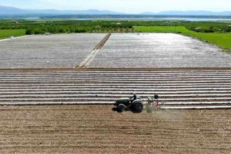 Deprem tarımı da vurdu