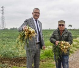 Bursa’da soğan fiyatlarında düşüş