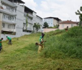 Bursa Yıldırım’da yabani ot temizliği yapıldı