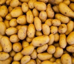 Nisan ayında en çok patatesin fiyatı arttı