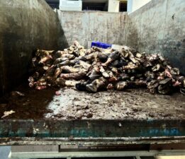 Et ve sakatat ürünlerinde hijyen tartışması