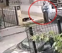 Sokak hayvanına cinsel istismarda bulundu!