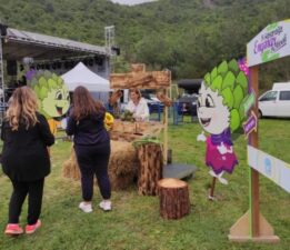 14. Hasanağa Enginar Festivali başladı