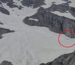 Uludağ’ın zirvesinde kış uykusundan uyanan ayıları görüntülediler