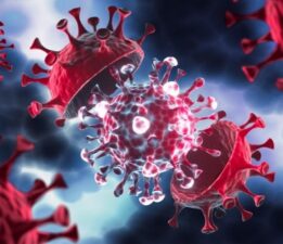 Korona kaza sonucu mu ortaya çıktı?