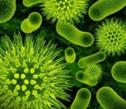 Bakteriler bazı hastalıkların tedavisinde kullanılabilir!