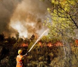 Orman yangınlarının yüzde 90’ı insan kaynaklı