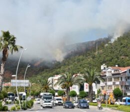 Orman yangınının nedeni belli oldu