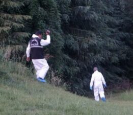 Sahibinin dolaştırdığı köpeğin aldığı koku cesedi ortaya çıkardı