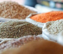 Akdeniz, hububat ve bakliyat ihracatına destek verdi