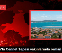 Ayvalık’ta çıkan orman yangını kontrol altına alındı