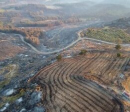 Çanakkale’deki Orman Yangınından Havadan Görüntüler