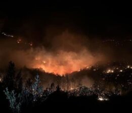 Mersin’de rüzgarın etkisiyle yayılan yangına TOMA’larla müdahale ediliyor
