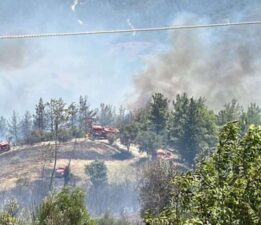 Osmaniye’de orman yangını! Ekipler müdahale ediyor