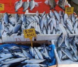 Sıcak havada balığa rağbet yok