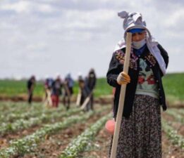 Tarımda ‘sıcak’ korkusu