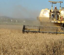 Tarımsal girdi enflasyonunda artış sürüyor