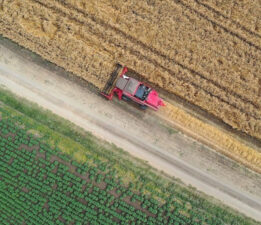 Tarımsal girdiler yıllık yüzde 33,22 arttı