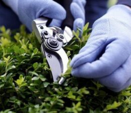 TÜİK son verileri açıkladı… Hizmet sektöründe ‘Peyzaj’ revaçta