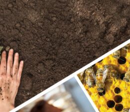 163 milyon TL’lik tarımsal destek ödeniyor