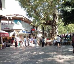 Avludaki Çakma Bank ve Taciz Olayında İlk İfadeler Saç Baş Yoldurdu!