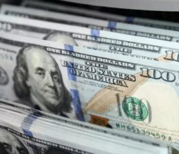 7,3 milyar dolarlık satın alma reddedildi