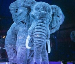 DOHADERN; Hayvan Özgürlüğünü Savunmak İnsanların Temel Görevidir!