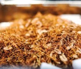 Bir sigara grubu, sarma tütüne zam yaptı