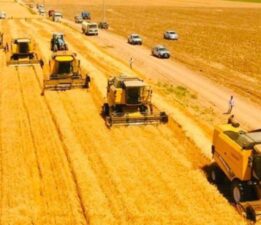 Karadeniz’deki gerilim buğday fiyatlarını arttırdı