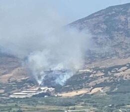 Menemen’de orman yangını