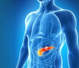 Meyan bitkisi, Pankreas kanseriyle mücadele etmeye yardımcı olabilir