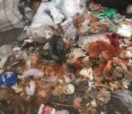 Kestel’de Önder Tanır Büyükşehir hayali kurarken, sinekler imparatorluk kurdu!