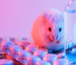 DOHADERN;  Hayvan Deney Merkezi’ne Hayır!