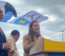 Ayyüce Türkeş, Türk Çalıştayı yapıyor.