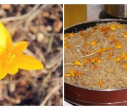 Tokat Turhal’da Nevruzun Gelişini Çiğdem Pilavı ile Kutladılar!