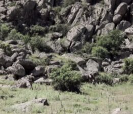 Bakan Yerlikaya: 2 terörist teslim oldu